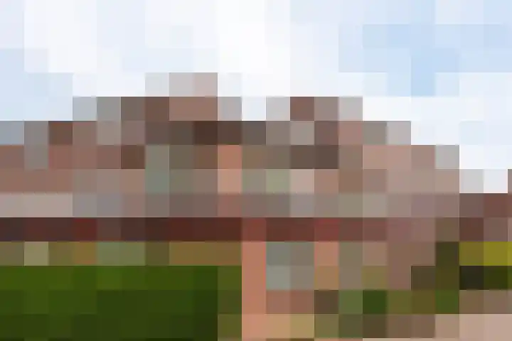 de Aak 49 Baarn thumbnail 26