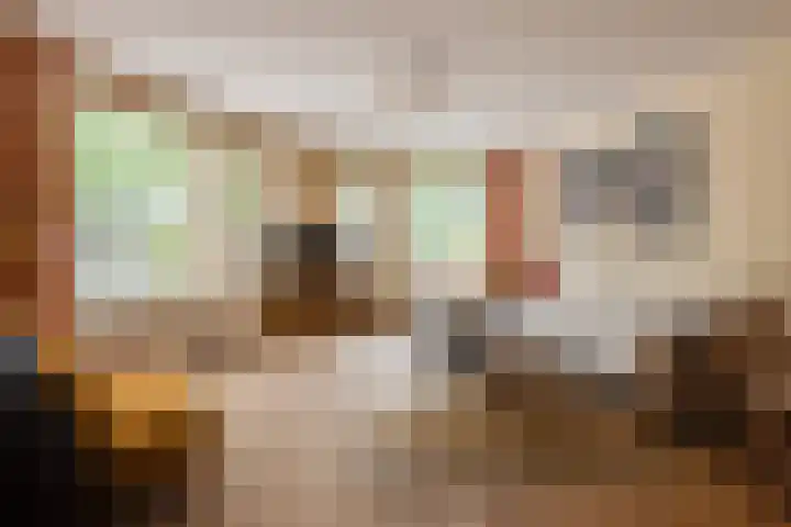 de Aak 49 Baarn thumbnail 5