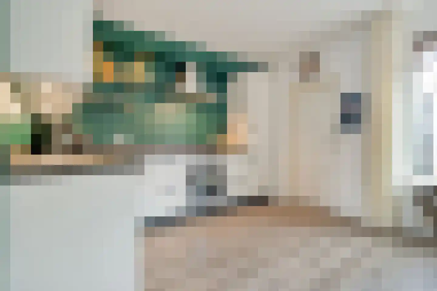 De Aak 49 Dedemsvaart thumbnail 10