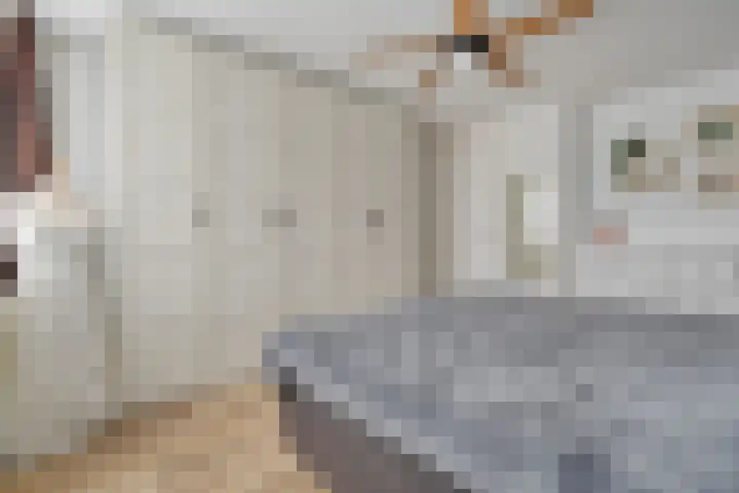 De Aak 49 Dedemsvaart thumbnail 18