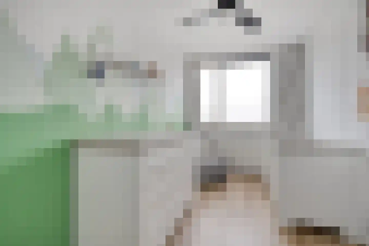 De Aak 49 Dedemsvaart thumbnail 19