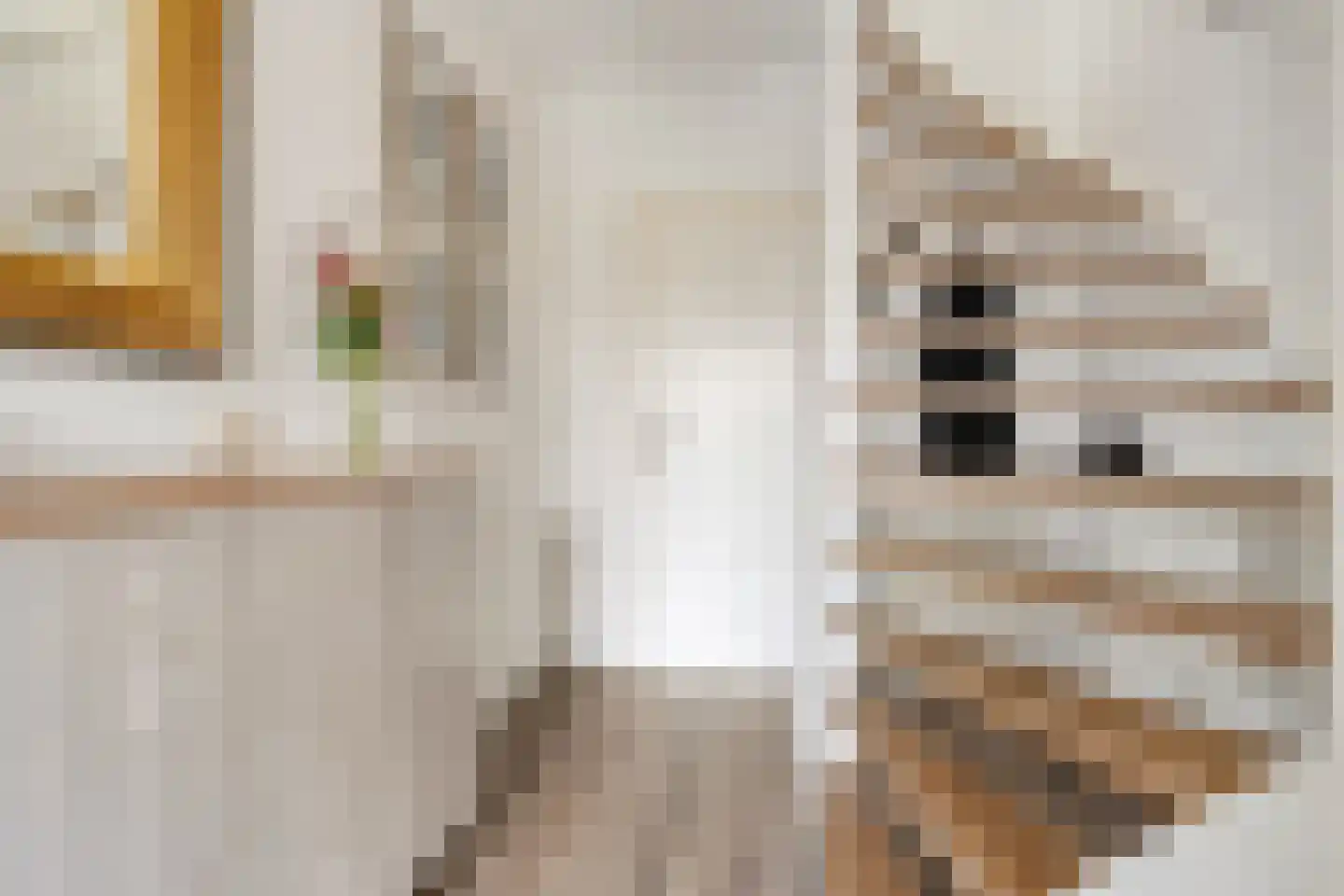 De Aak 49 Dedemsvaart foto 2