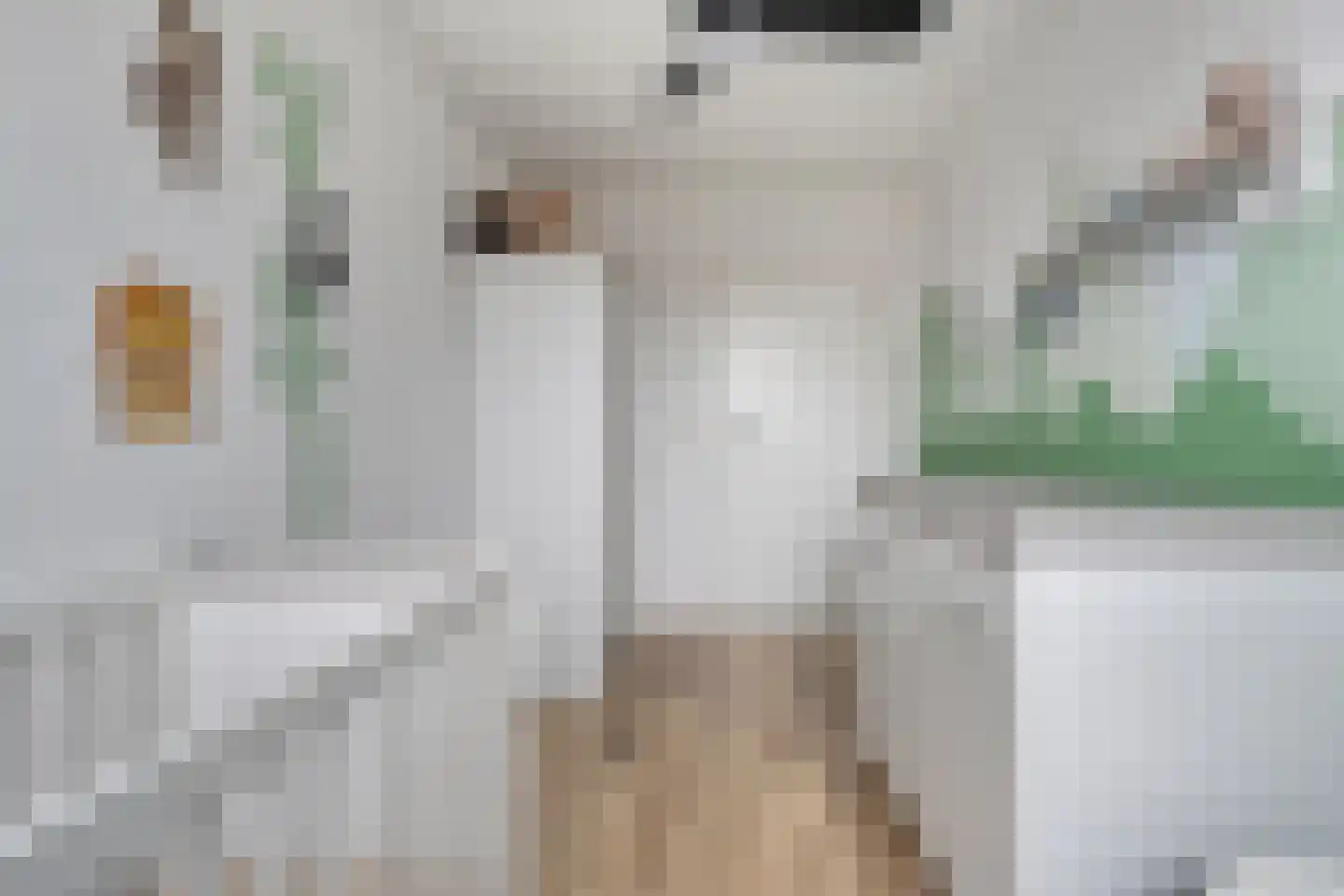 De Aak 49 Dedemsvaart thumbnail 20