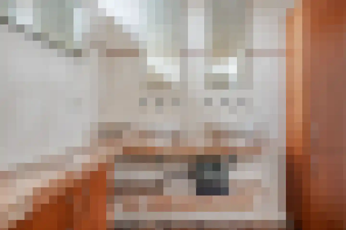 De Aak 49 Dedemsvaart thumbnail 23