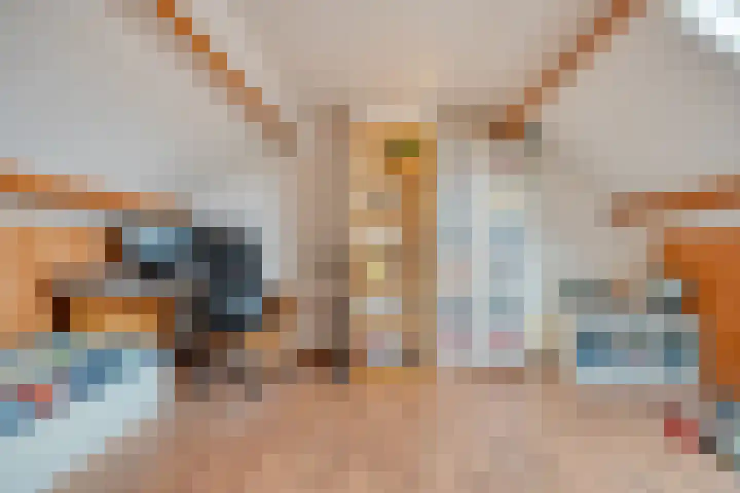 De Aak 49 Dedemsvaart thumbnail 25