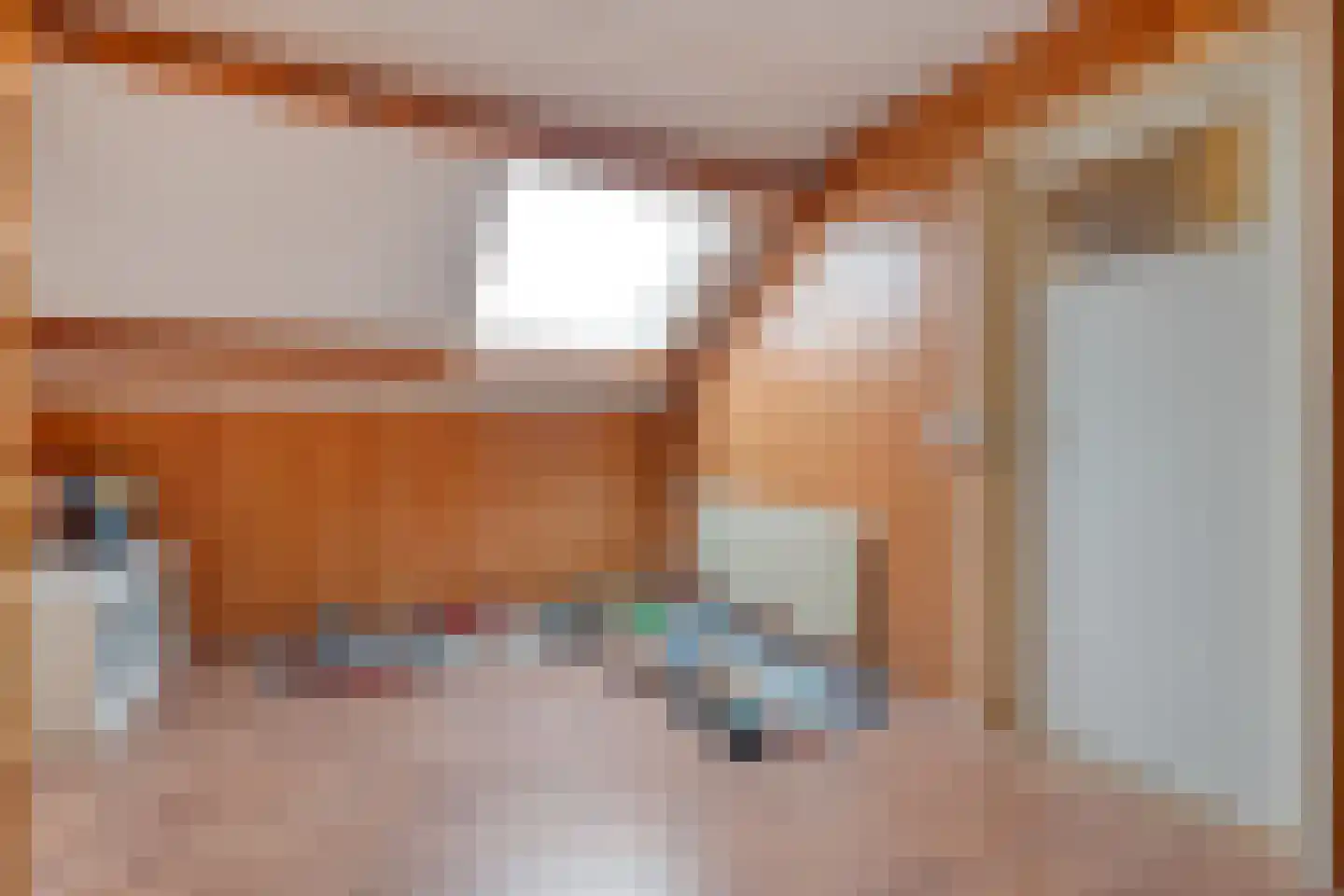 De Aak 49 Dedemsvaart thumbnail 27