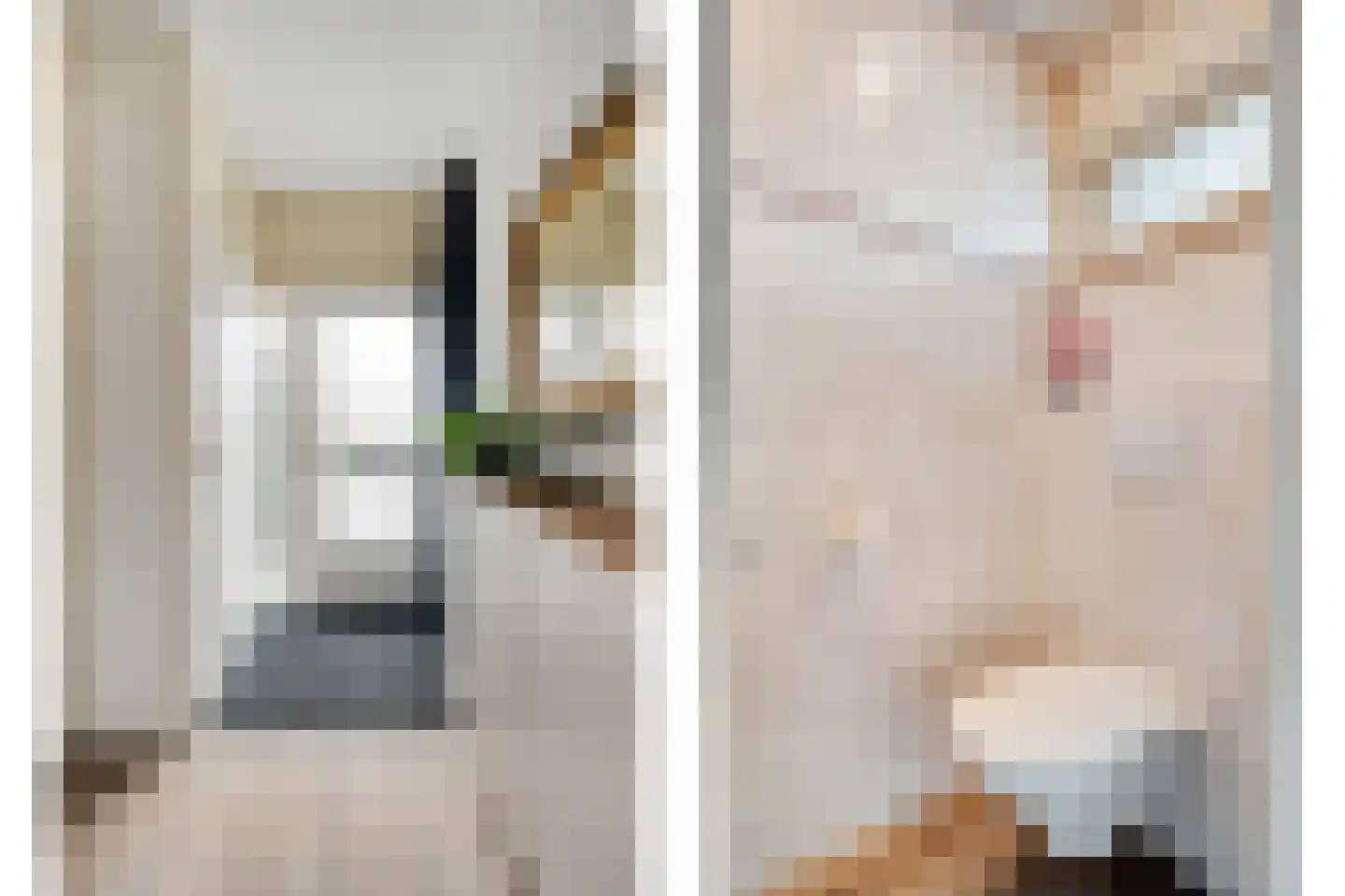 De Aak 49 Dedemsvaart foto 3