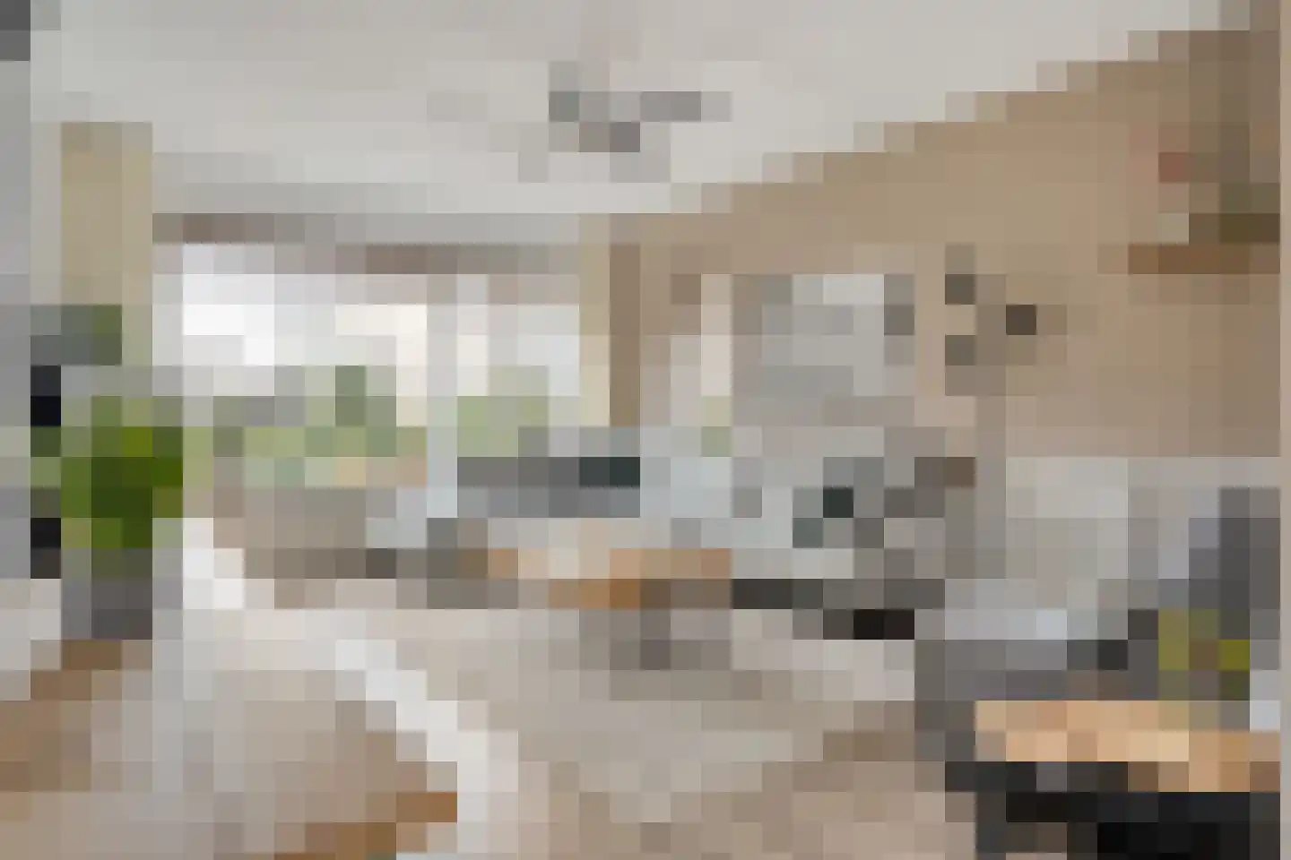 De Aak 49 Dedemsvaart thumbnail 4