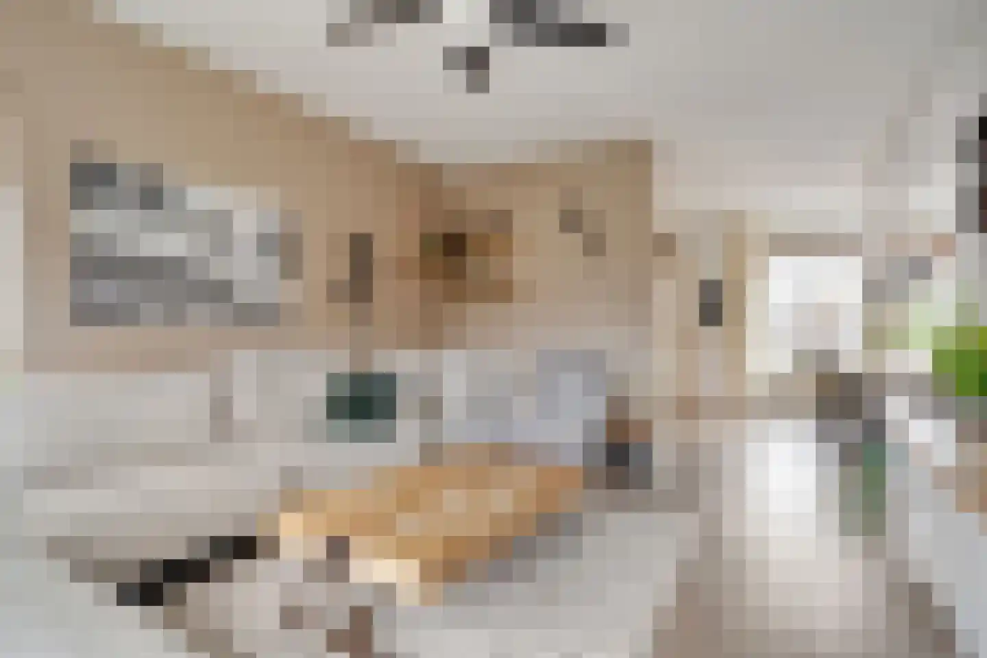 De Aak 49 Dedemsvaart thumbnail 5