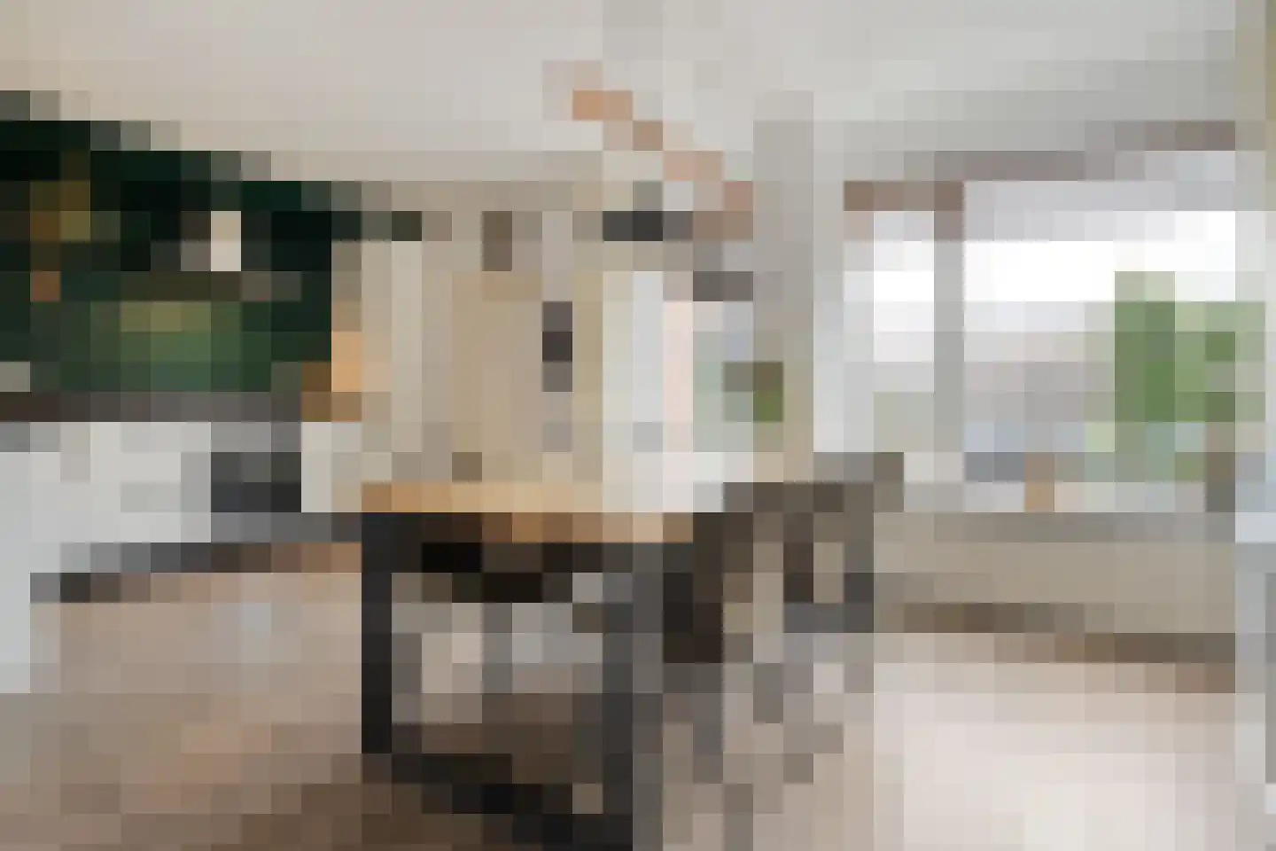 De Aak 49 Dedemsvaart thumbnail 8