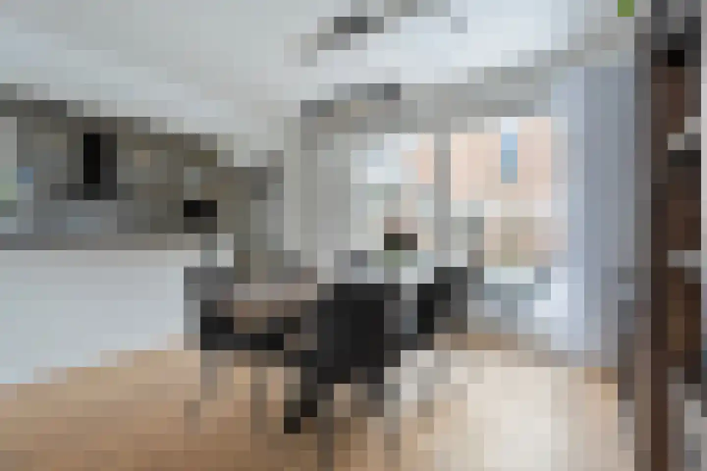 De Aak 74 Dedemsvaart thumbnail 10