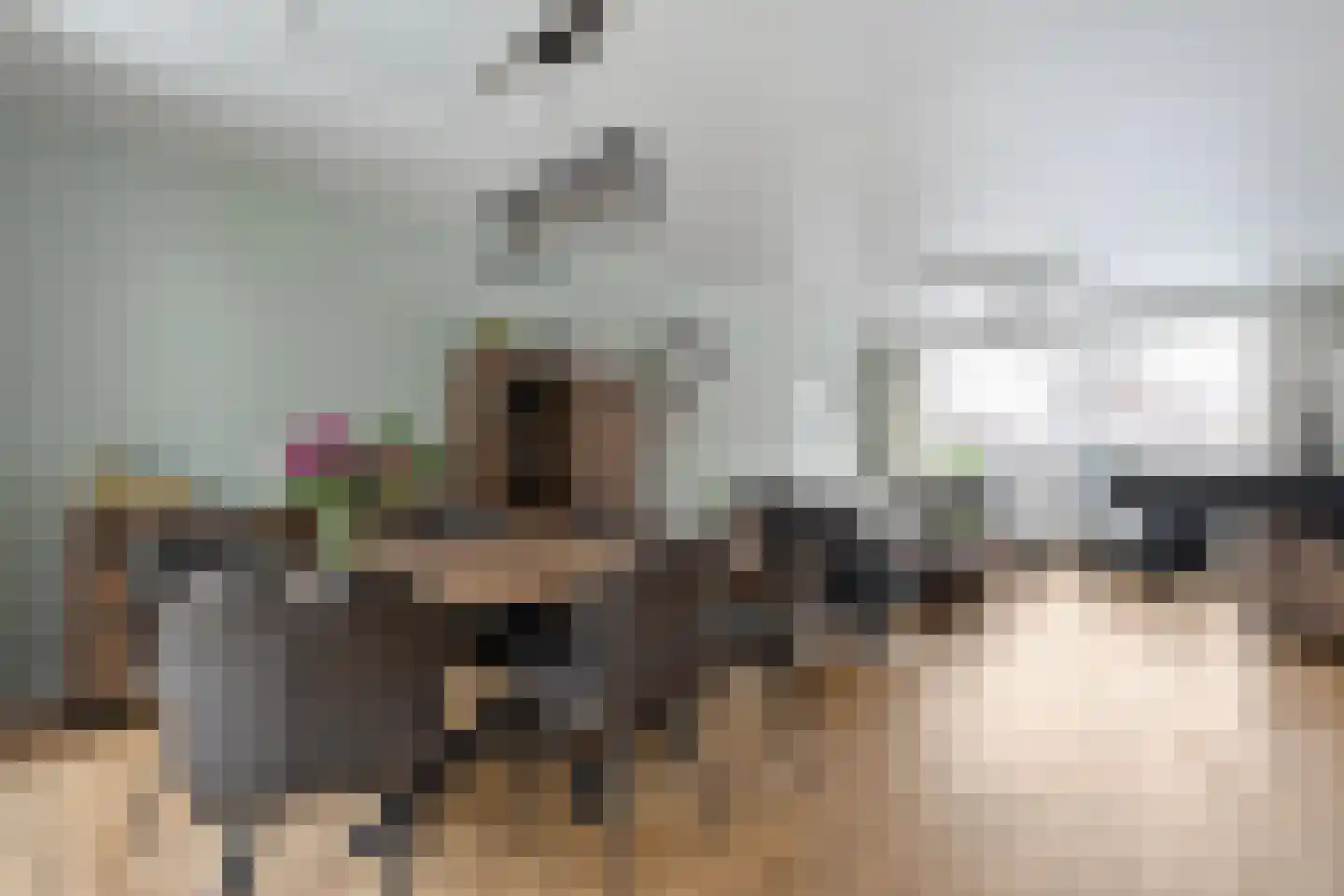 De Aak 74 Dedemsvaart thumbnail 11