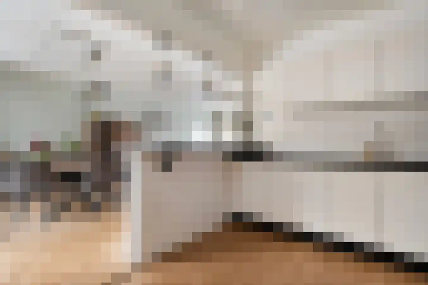 De Aak 74 Dedemsvaart thumbnail 15