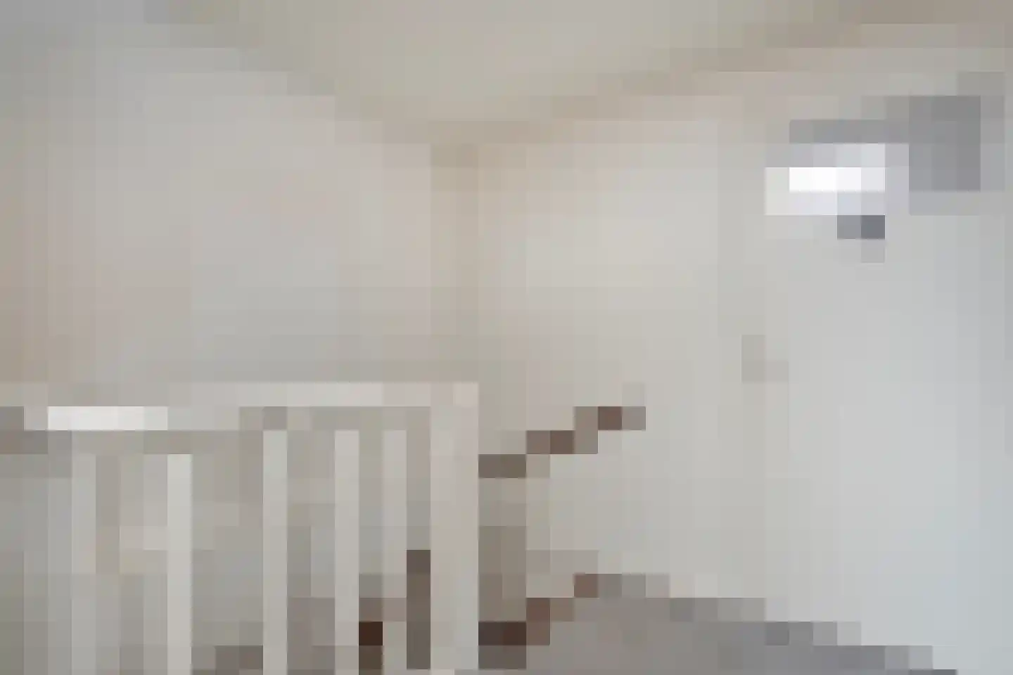 De Aak 74 Dedemsvaart thumbnail 29