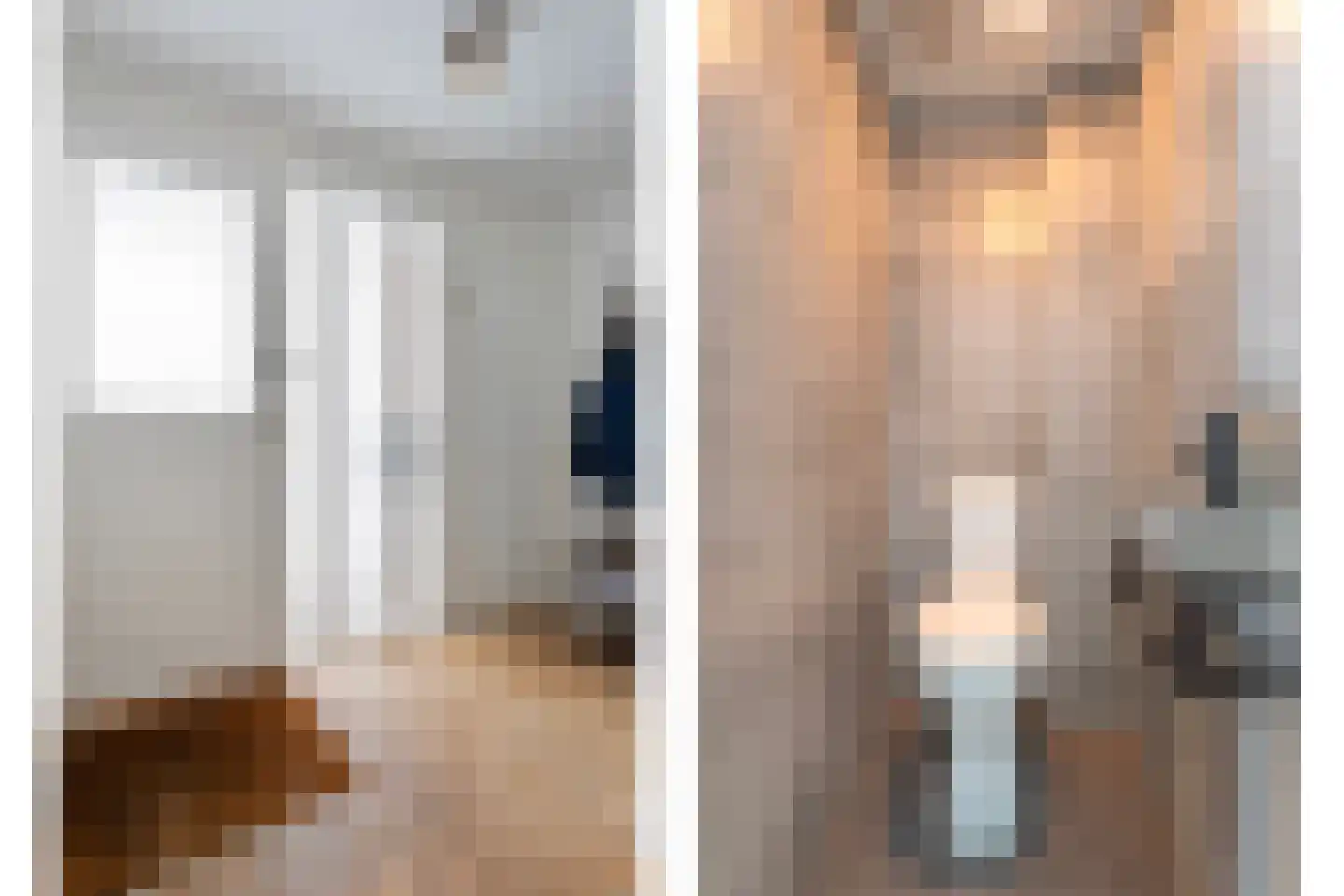 De Aak 74 Dedemsvaart foto 3