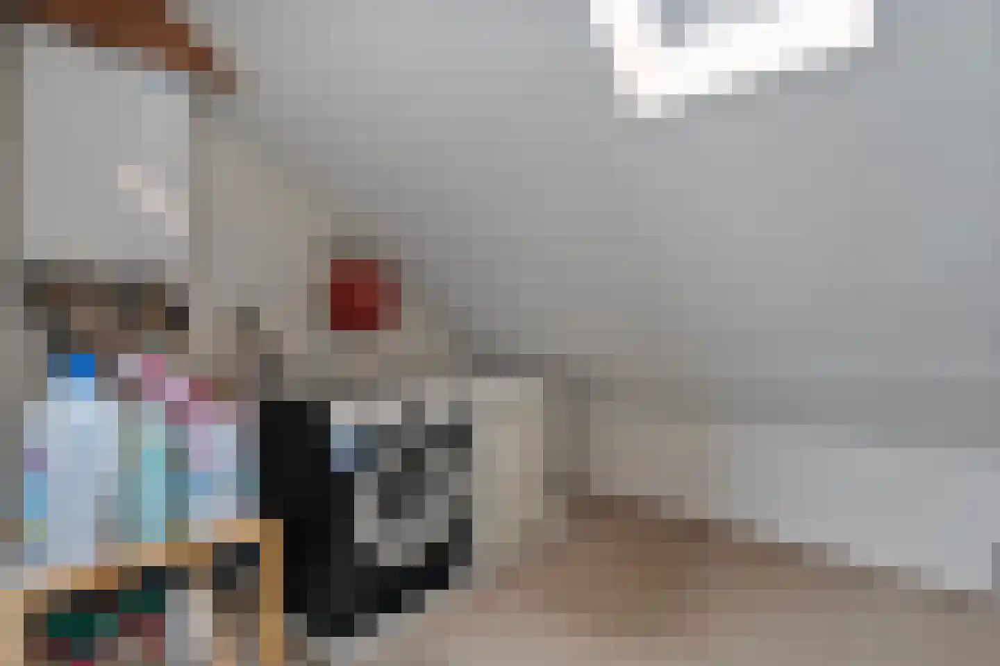 De Aak 74 Dedemsvaart thumbnail 33