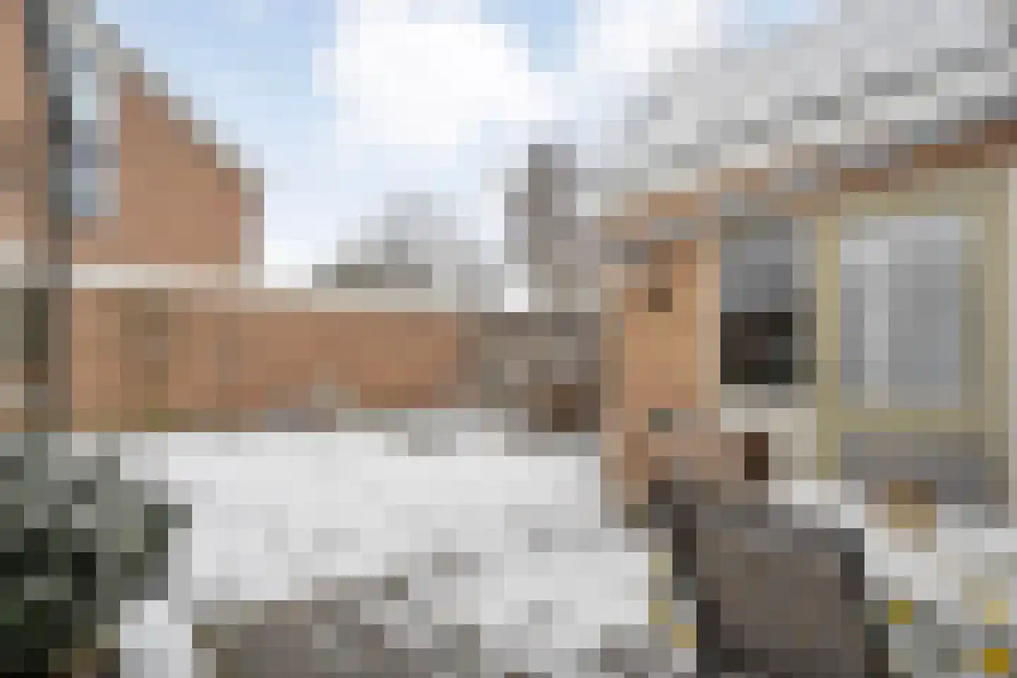 De Aak 74 Dedemsvaart thumbnail 34