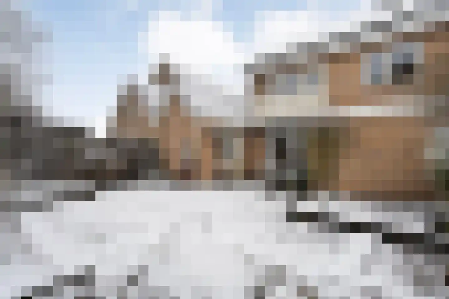 De Aak 74 Dedemsvaart thumbnail 38