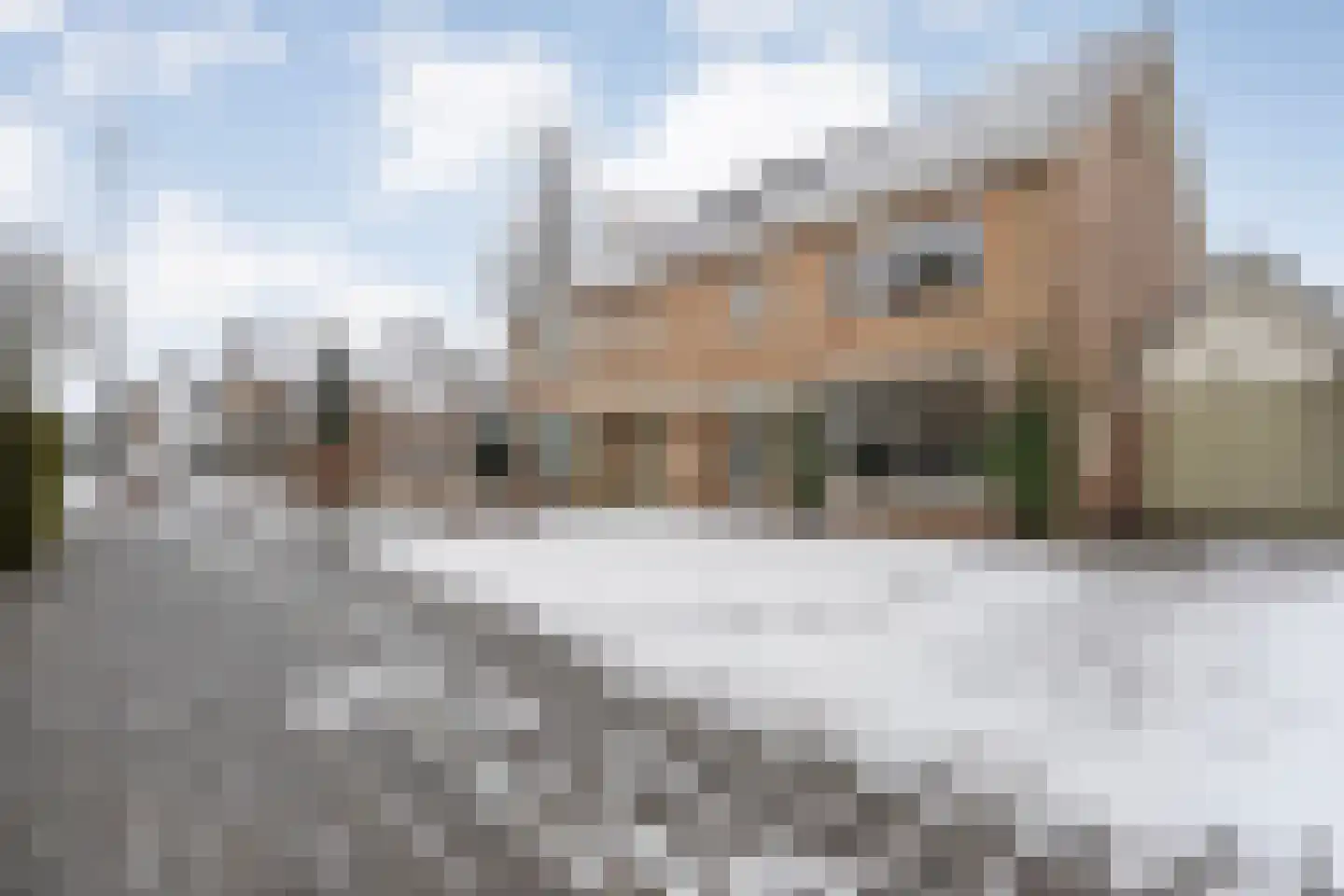 De Aak 74 Dedemsvaart thumbnail 42