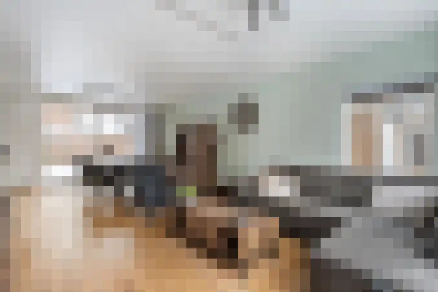 De Aak 74 Dedemsvaart thumbnail 7