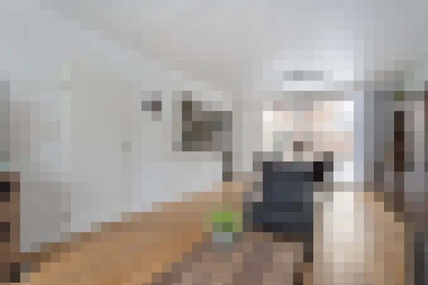 De Aak 74 Dedemsvaart thumbnail 8