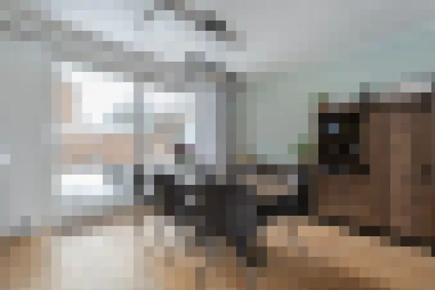 De Aak 74 Dedemsvaart thumbnail 9