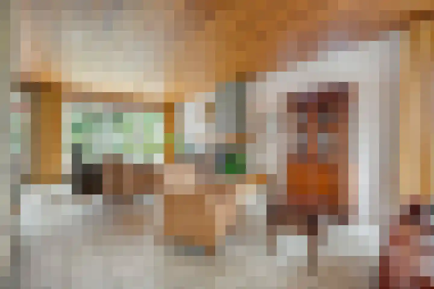 De Aak 76 Dedemsvaart thumbnail 12
