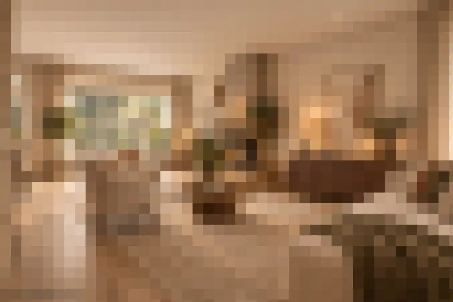 De Aak 76 Dedemsvaart thumbnail 13