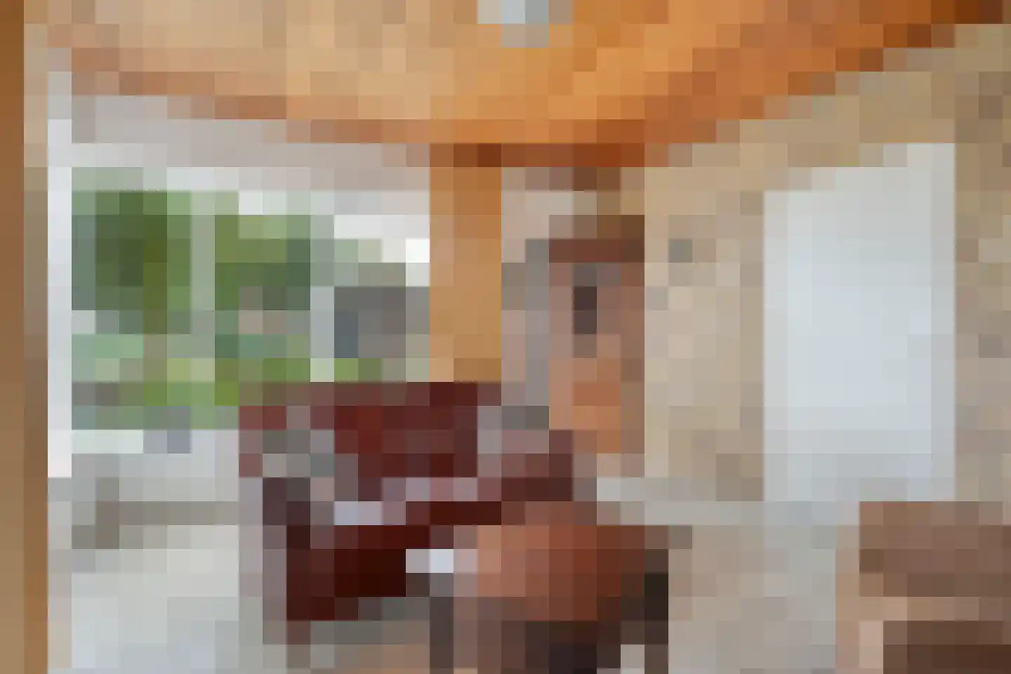 De Aak 76 Dedemsvaart thumbnail 14
