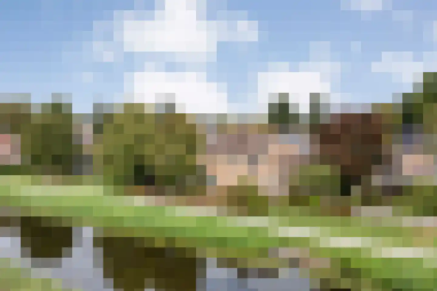 De Aak 76 Dedemsvaart foto 2