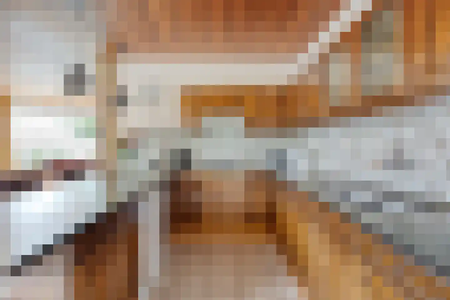 De Aak 76 Dedemsvaart thumbnail 21