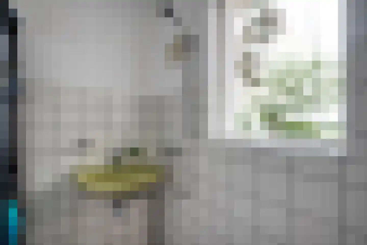 De Aak 76 Dedemsvaart thumbnail 24