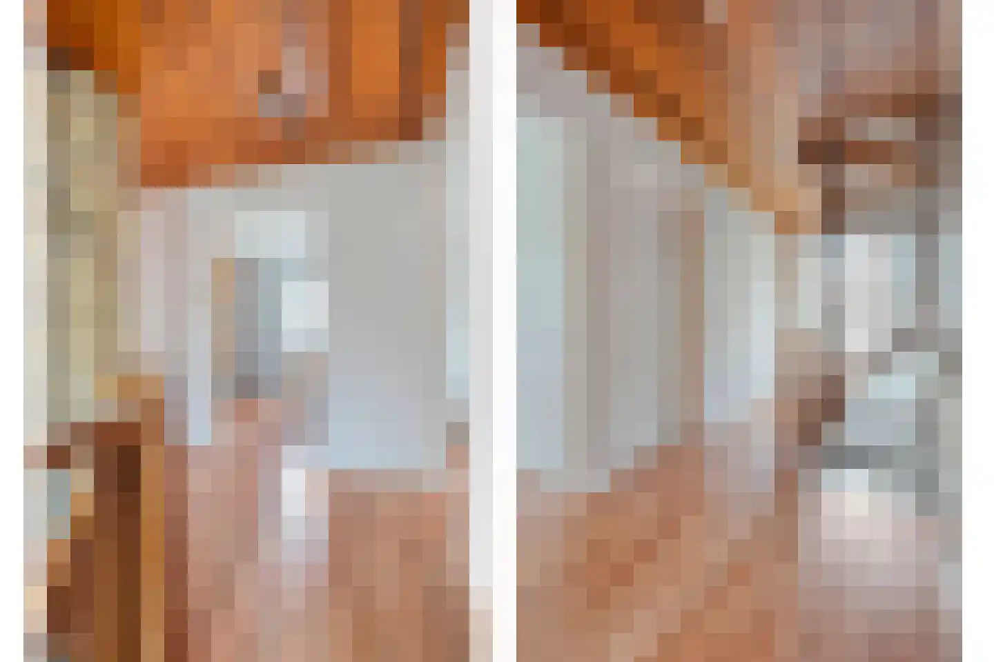 De Aak 76 Dedemsvaart thumbnail 28