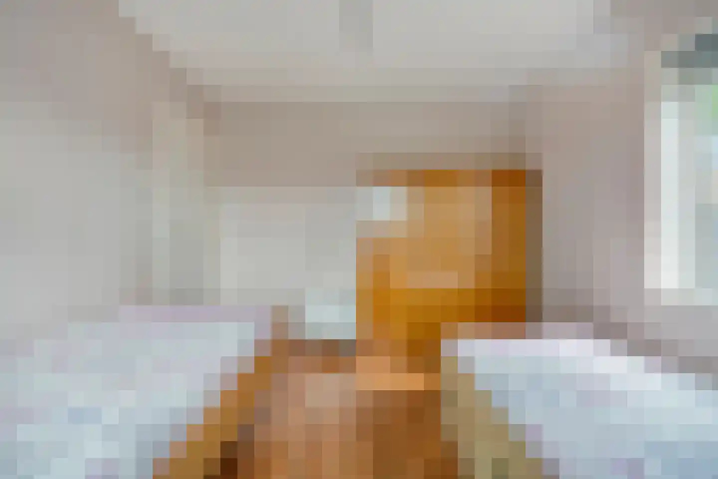 De Aak 76 Dedemsvaart thumbnail 31