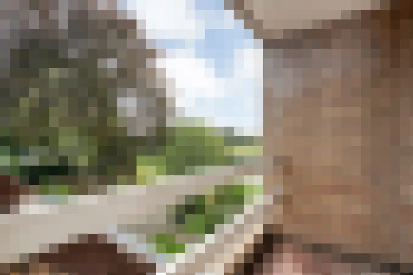 De Aak 76 Dedemsvaart thumbnail 36
