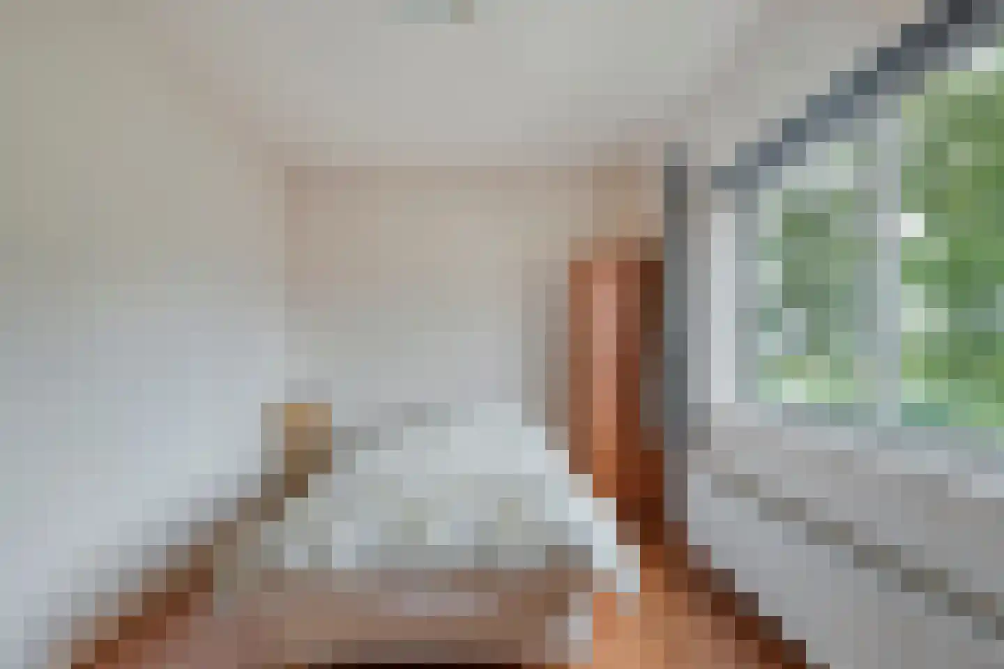 De Aak 76 Dedemsvaart thumbnail 37