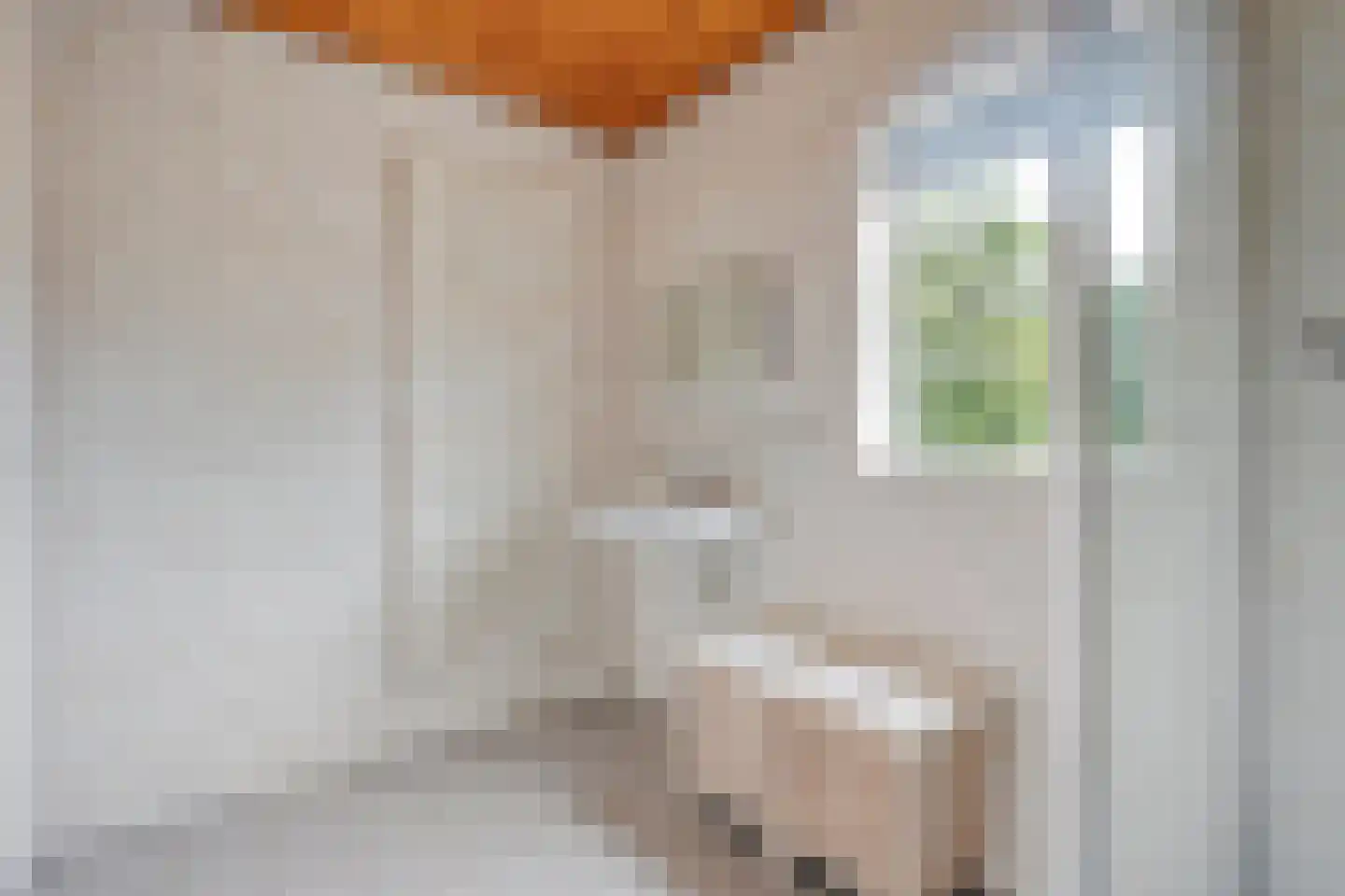 De Aak 76 Dedemsvaart thumbnail 39