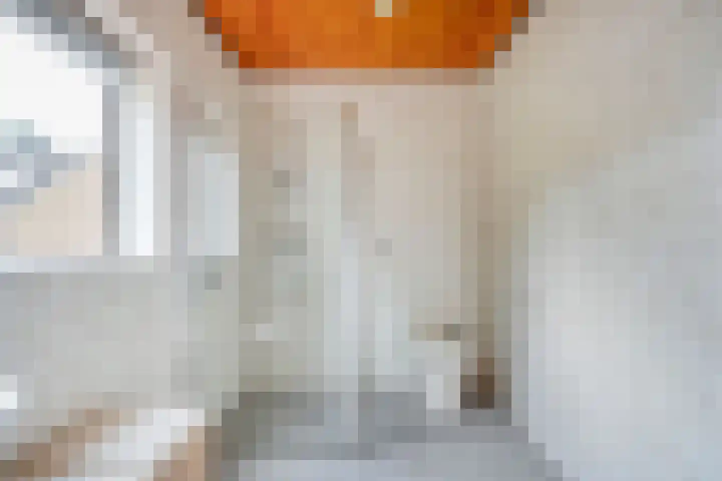 De Aak 76 Dedemsvaart thumbnail 40