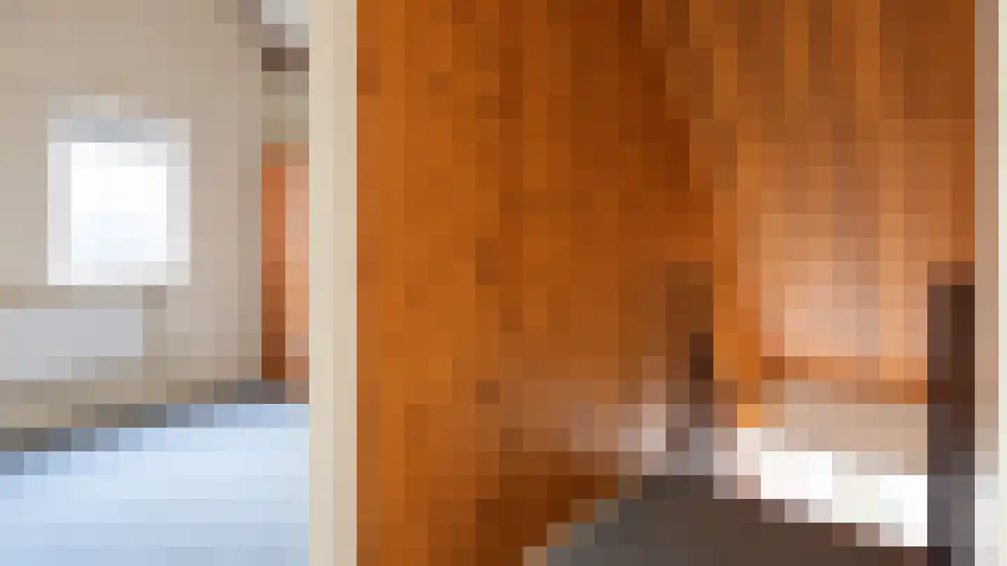 De Aak 76 Dedemsvaart thumbnail 41