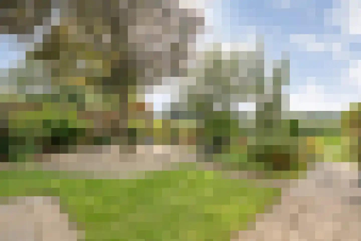 De Aak 76 Dedemsvaart thumbnail 44
