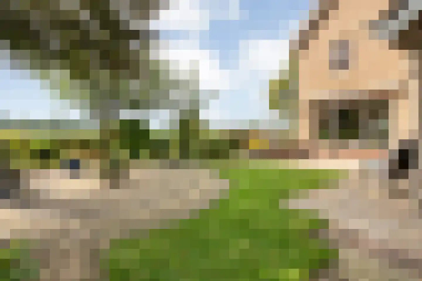 De Aak 76 Dedemsvaart thumbnail 46