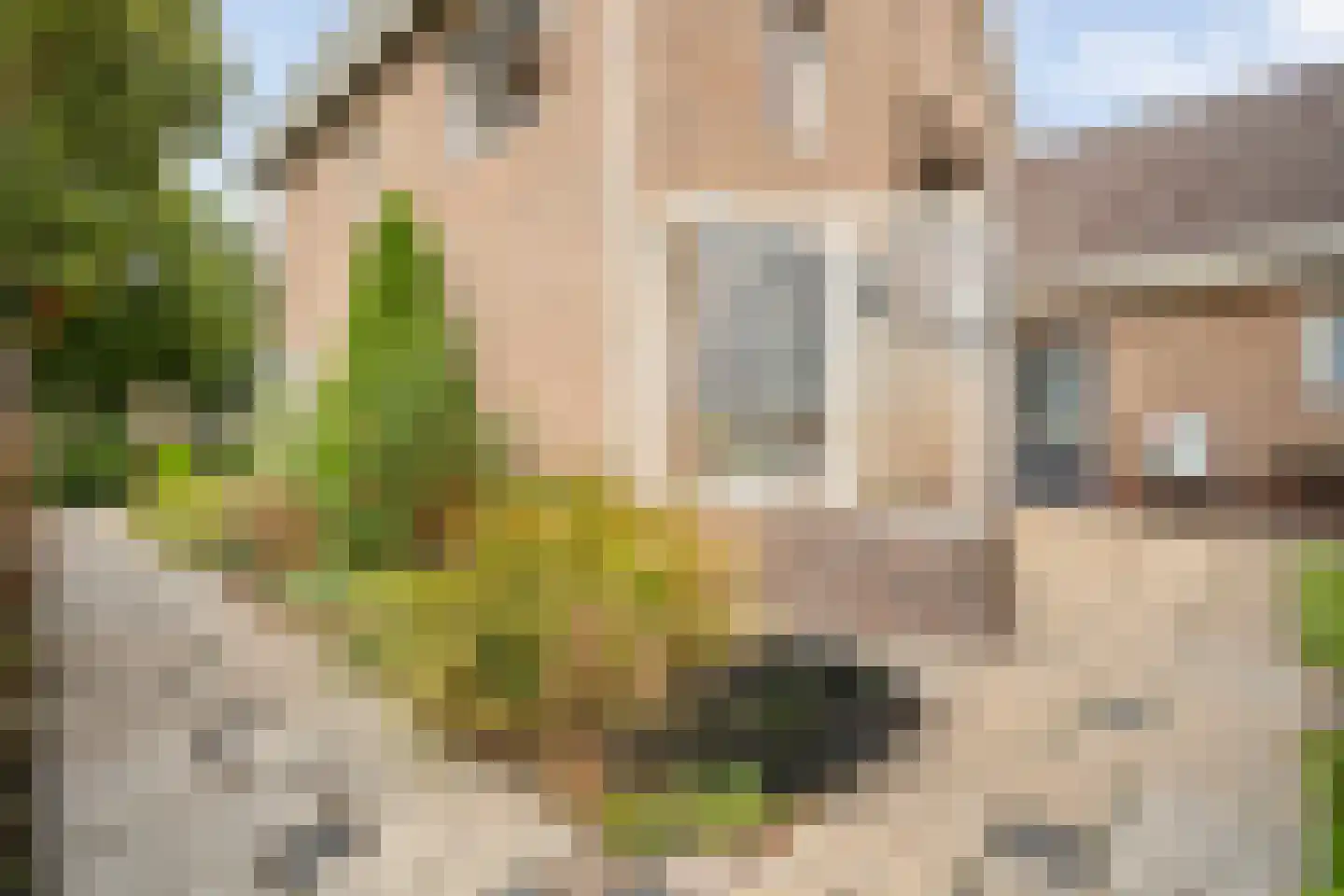 De Aak 76 Dedemsvaart thumbnail 49