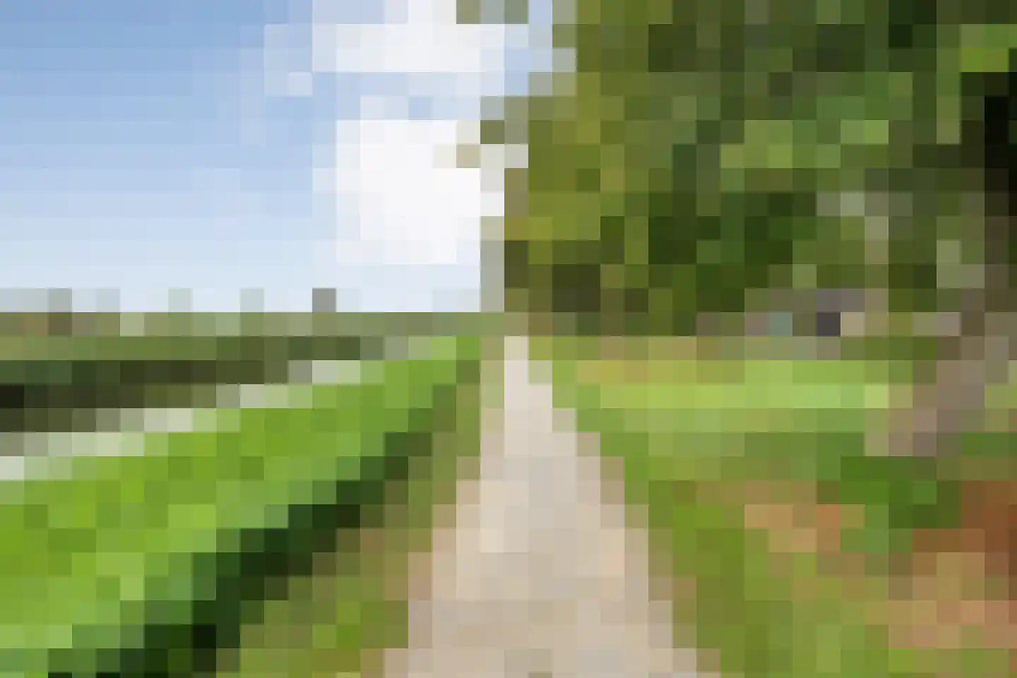De Aak 76 Dedemsvaart thumbnail 52