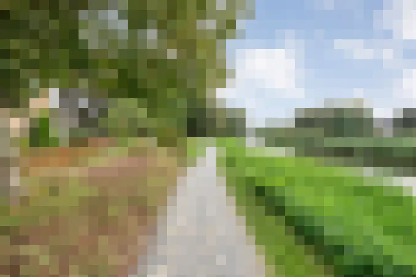 De Aak 76 Dedemsvaart thumbnail 53