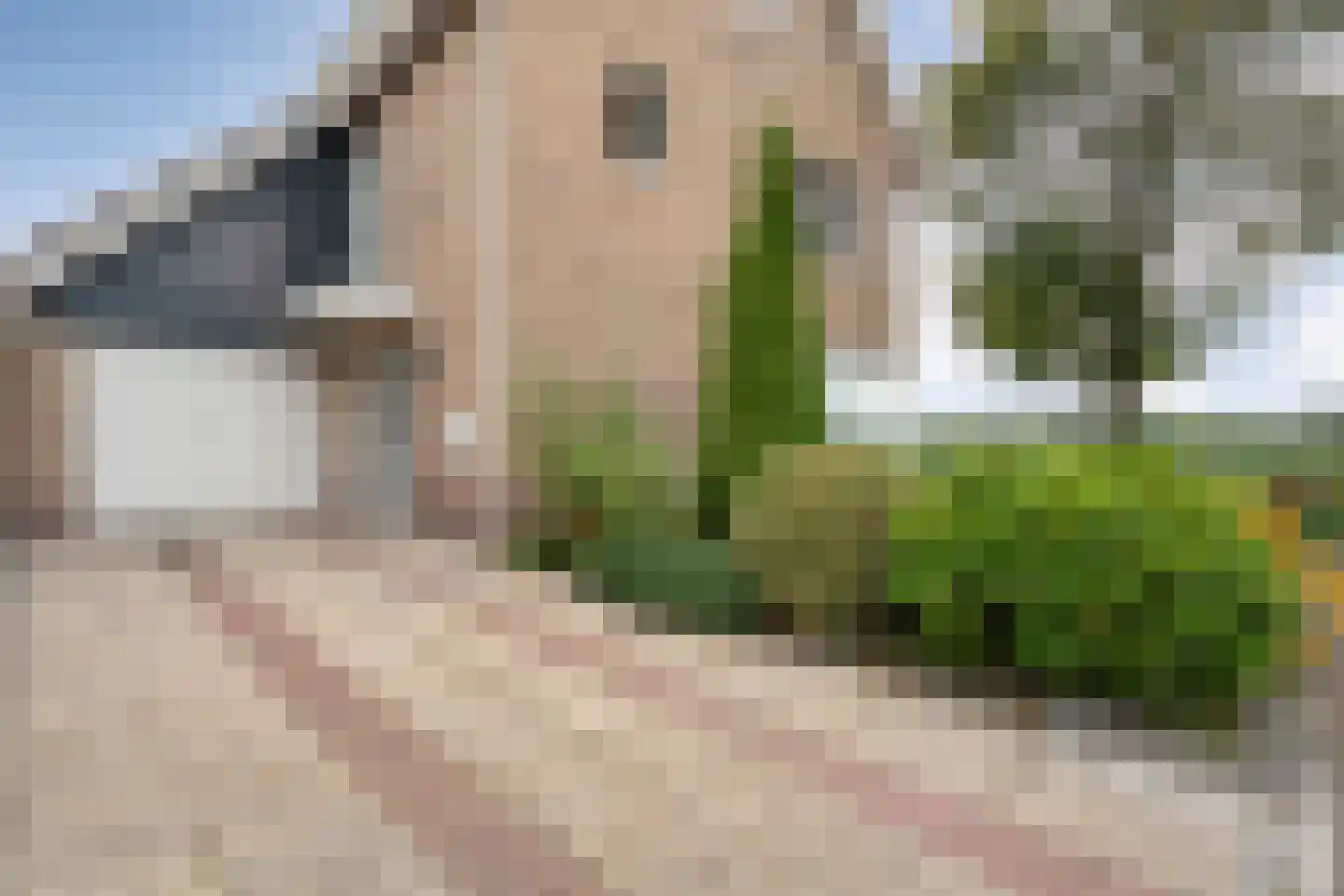 De Aak 76 Dedemsvaart thumbnail 54