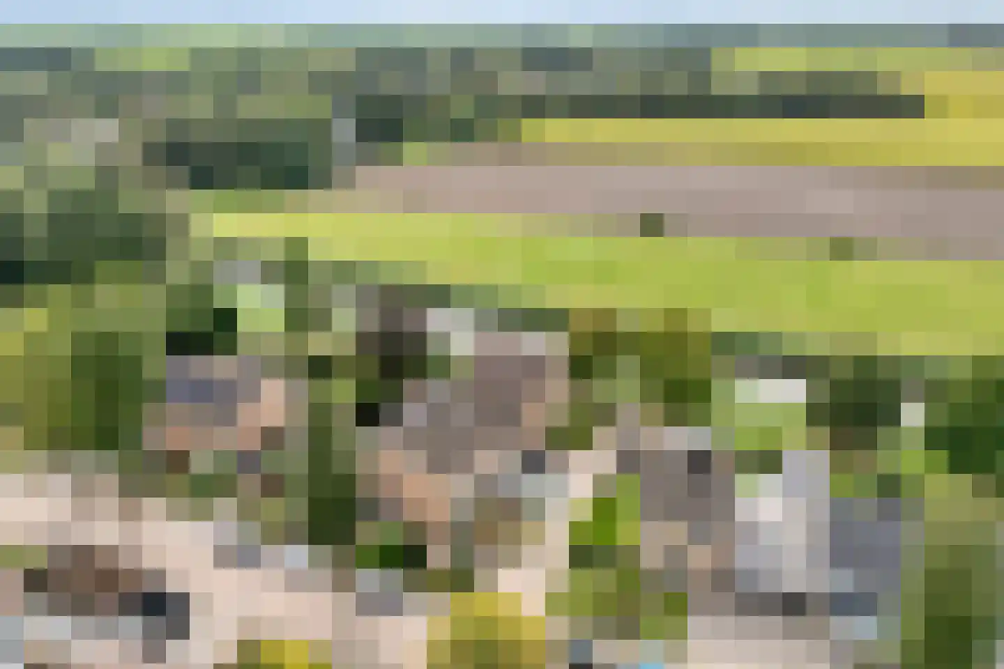 De Aak 76 Dedemsvaart thumbnail 7