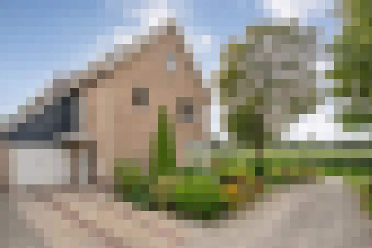 De Aak 76 Dedemsvaart thumbnail 8