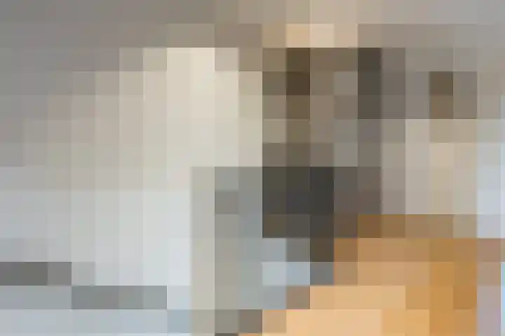 De Aak 92 Hoogeveen thumbnail 31