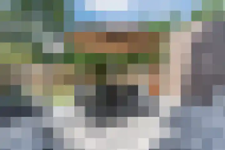 De Aak 92 Hoogeveen thumbnail 39