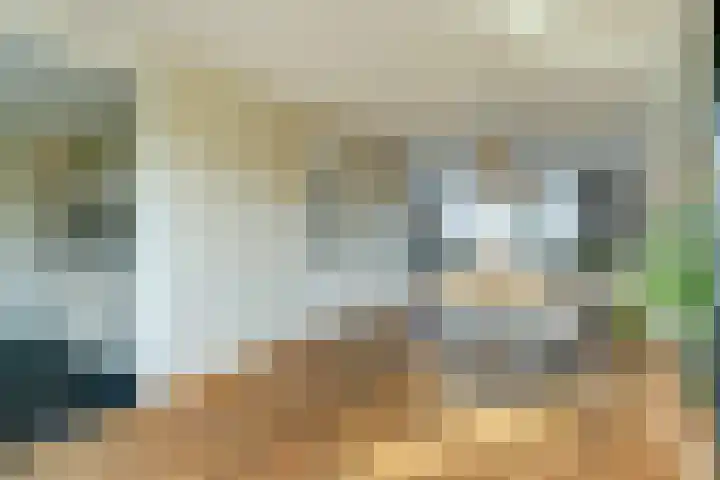 de Aakschipper 5 Raamsdonksveer thumbnail 10